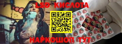 ПСИЛОЦИБИНОВЫЕ ГРИБЫ Можга