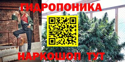 ПСИЛОЦИБИНОВЫЕ ГРИБЫ Можга